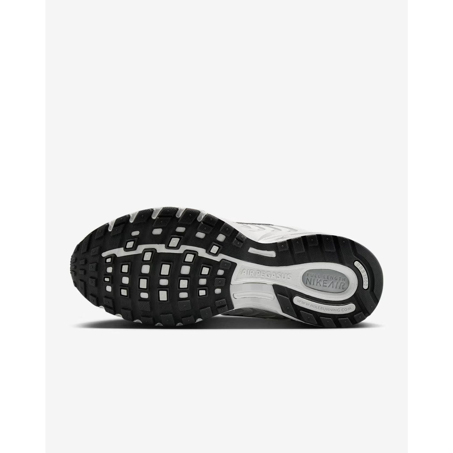 Nike Nike Air Pegasus 2005 Tennised